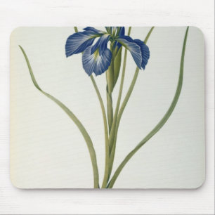 Iris Xyphioides, from `Les Liliacees', 1808 Mouse Pad