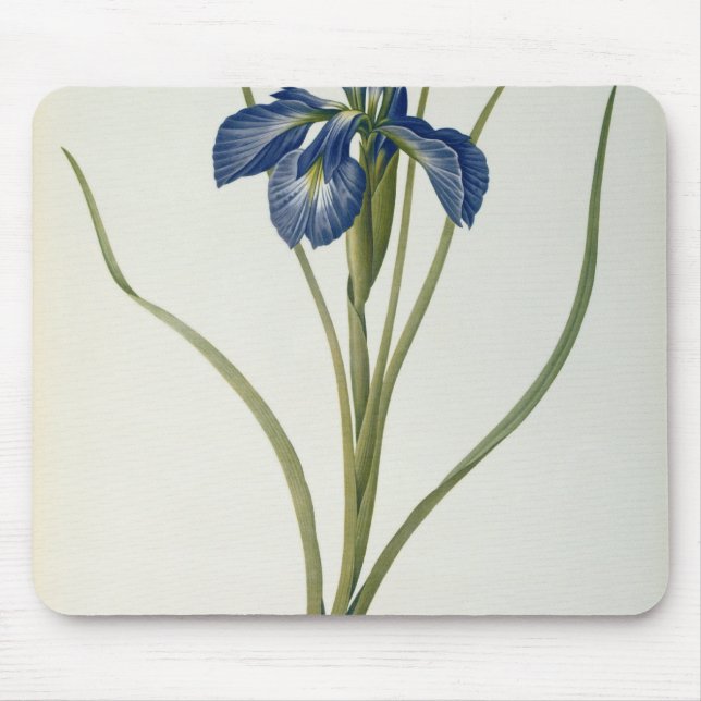 Iris Xyphioides, from `Les Liliacees', 1808 Mouse Pad (Front)