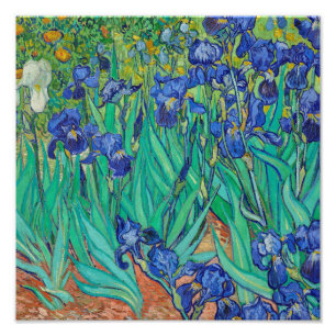 Irises (1889) by Vincent Van Gogh. Photo Print