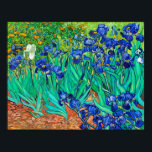 Irises (1889) Vincent Van Gogh blue floral garden  Poster<br><div class="desc">The beautiful Van Gogh Irises (1889) fine art print poster showcases the maestro of Post-Impressionism Van Gogh's well-known rendering of the breathtaking blue iris flower garden. While receiving treatment at the Saint Paul-de-Mausole institution in Saint-Rémy-de-Provence, France, in the year before his death in 1890, Vincent van Gogh created several works...</div>