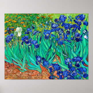 Irises (1889) Vincent Van Gogh blue floral garden Poster