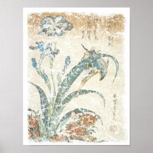 Irises and Kingfisher Poster