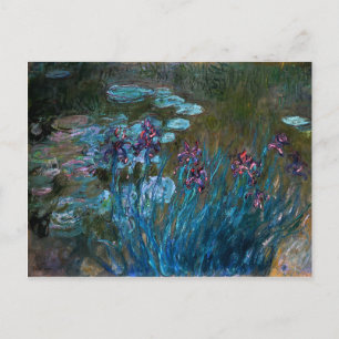 Irises and Water Lilies, Claude Monet Postcard