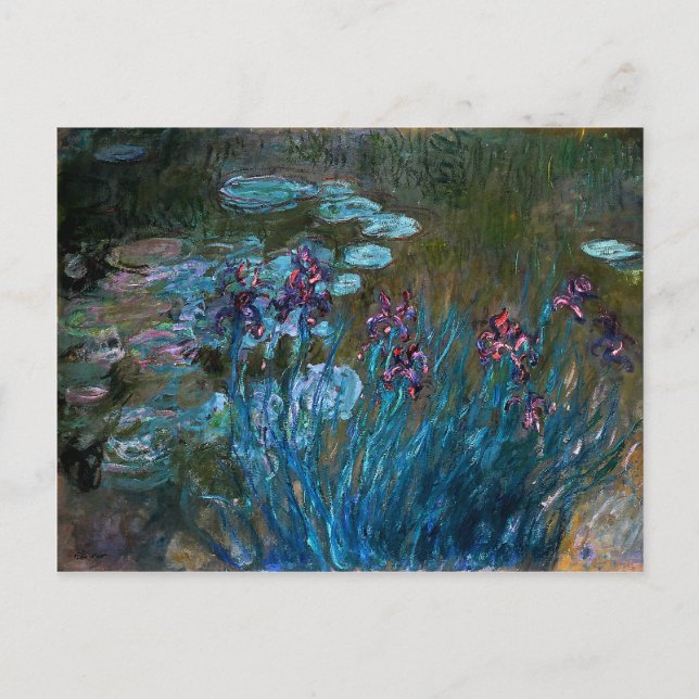Irises and Water Lilies, Claude Monet Postcard (Front)