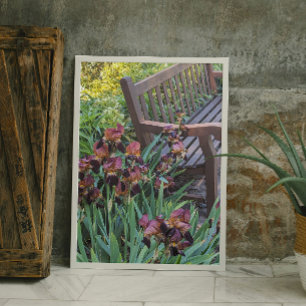 Irises Blooms and Garden Park Bench Floral Photo Print