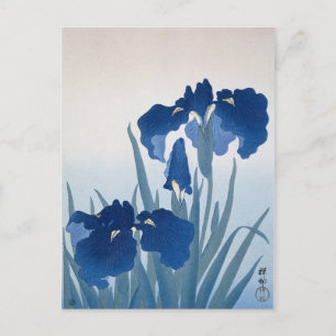 Irises by Ohara Koson Postcard