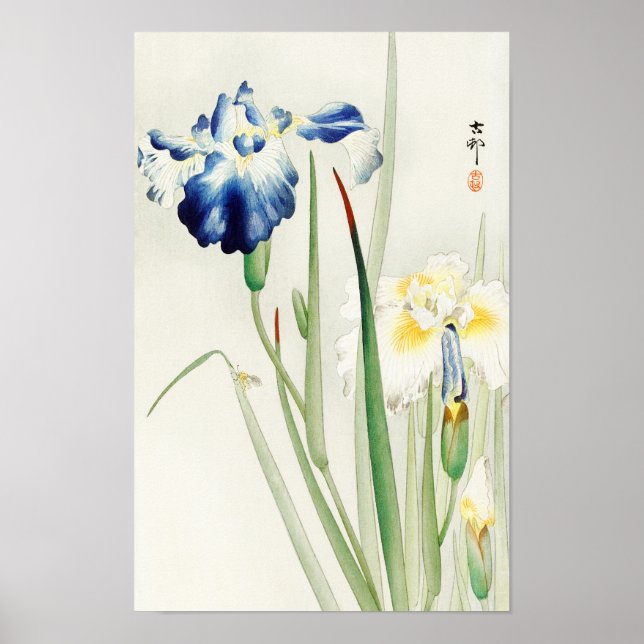Irises by Ohara Koson Poster (Front)