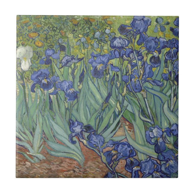Irises by Van Gogh Blue Iris flowers Tile (Front)