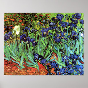 Irises by Van Gogh Fine Art Poster Print