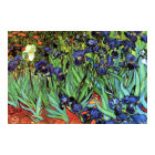 Irises by Van Gogh Fine Art Poster Print