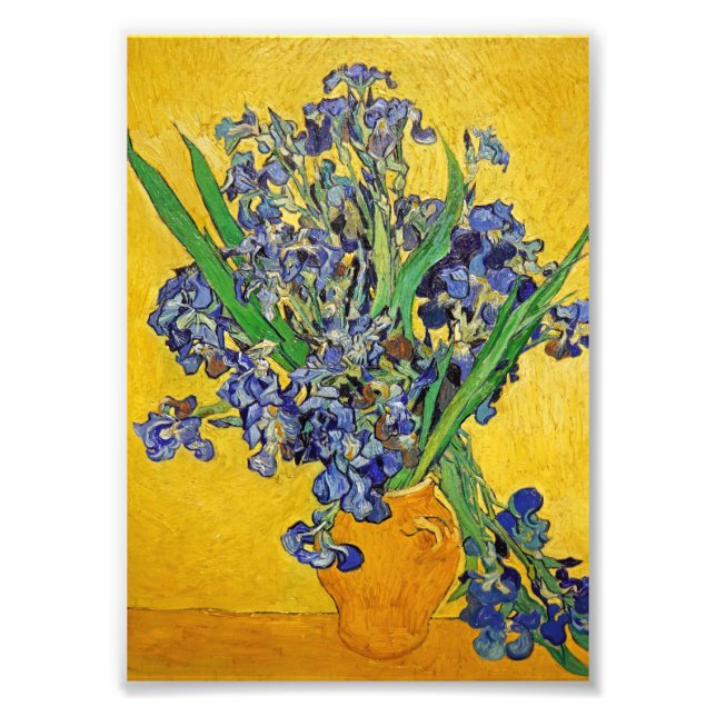 Irises by Van Gogh Photo Print (Front)