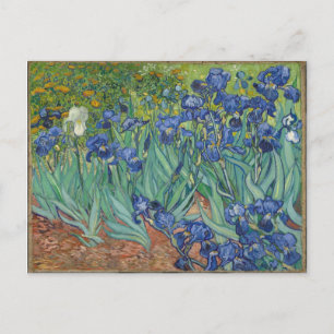 Irises by Van Gogh Postcard