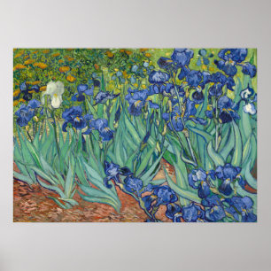 Irises by Van Gogh Poster Print