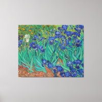 Irises by Vincent Van Gogh
