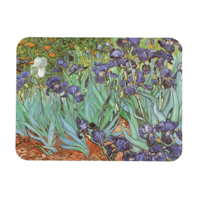 Irises by Vincent van Gogh Magnet (Horizontal)