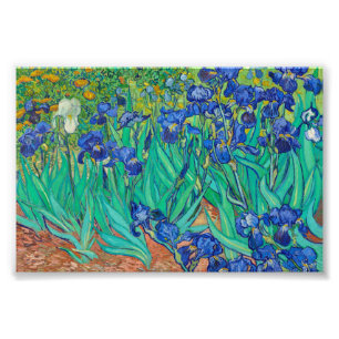 Irises by Vincent van Gogh Photo Print