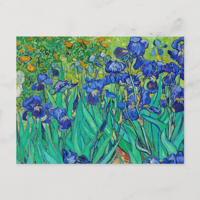 Irises by Vincent Van Gogh Postcard (Front)