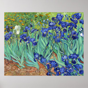Irises by Vincent van gogh Poster