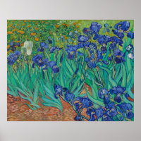 Irises by Vincent Van Gogh