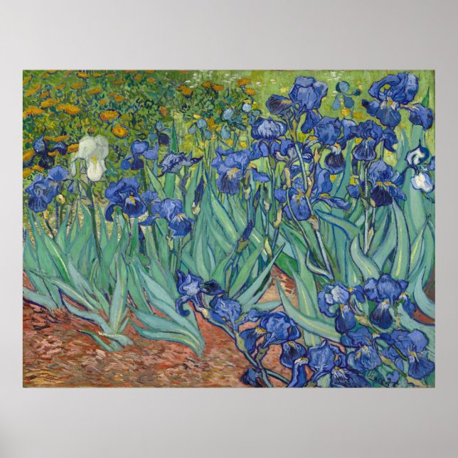 Irises by Vincent Van Gogh Poster (Front)