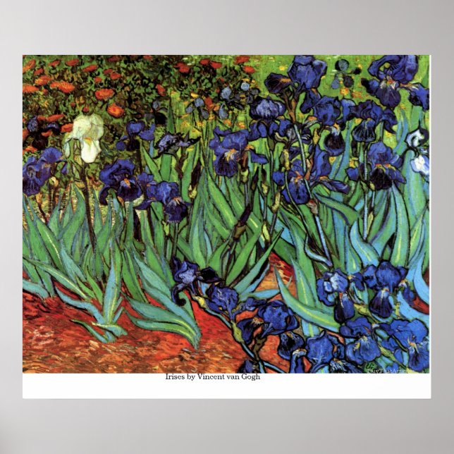 Irises by Vincent van Gogh Poster (Front)
