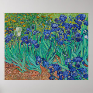 Irises by Vincent Van Gogh Poster