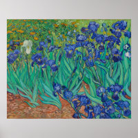 Irises by Vincent Van Gogh
