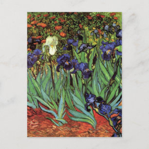 Irises by Vincent van Gogh, Vintage Garden Art Postcard