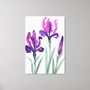 Irises Canvas Print