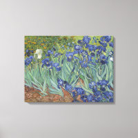 Irises