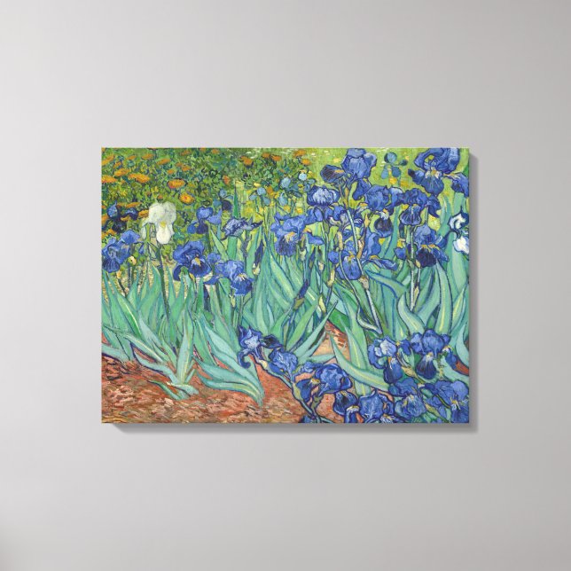 Irises Canvas Print (Front)