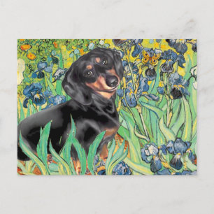 Irises - Dachsund (BT4) Postcard