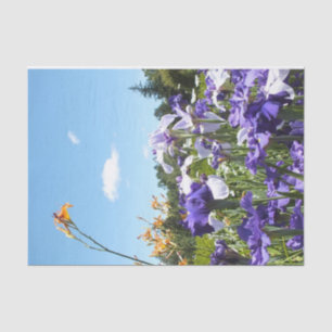 Irises Daylilies and Sky Tissue Paper