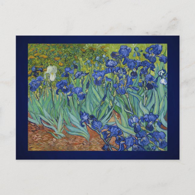 Irises Elegance: Van Gogh's Timeless Masterpiece  Postcard (Front)