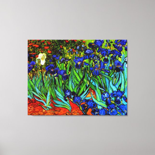 Irises, famous artwork by Van Gogh, Canvas Print (Front)