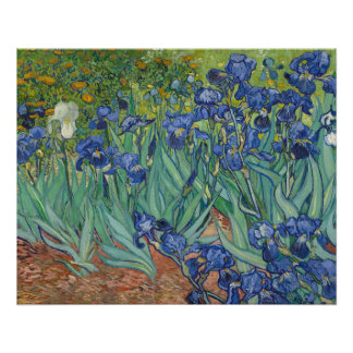 Irises, Floral Oil Painting, Vincent Van Gogh Poster