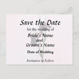 Irises in Love Announcement Postcard