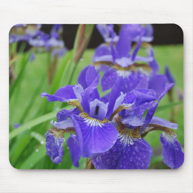 Irises in the Garden Mouse Pad (Front)