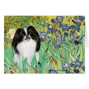 Irises - Japanese Chin 3