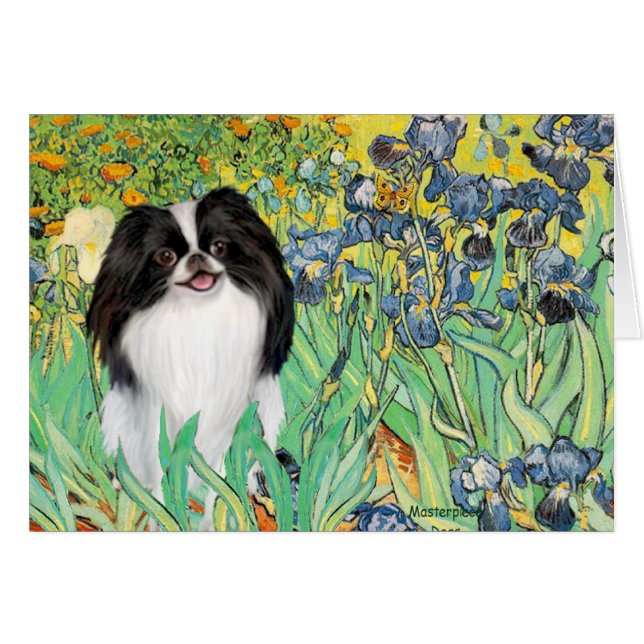 Irises - Japanese Chin 3 (Front Horizontal)