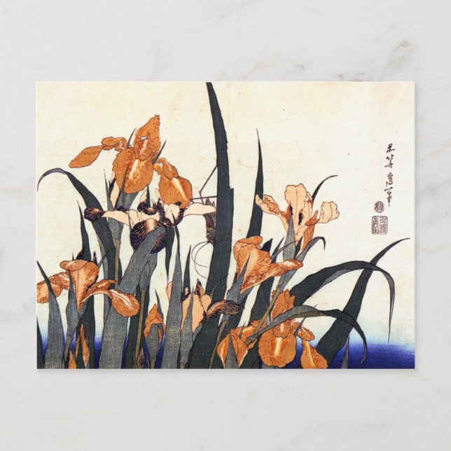 Irises, Katsushika Hokusai Postcard (Front)