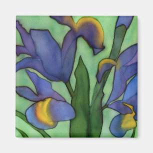 Irises Magnet