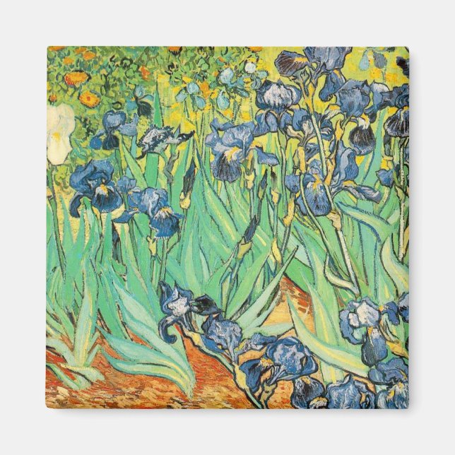 Irises Magnet (Front)