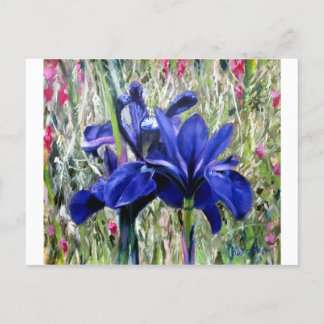 Irises oil painting postcard