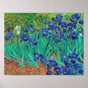 Irises Poster