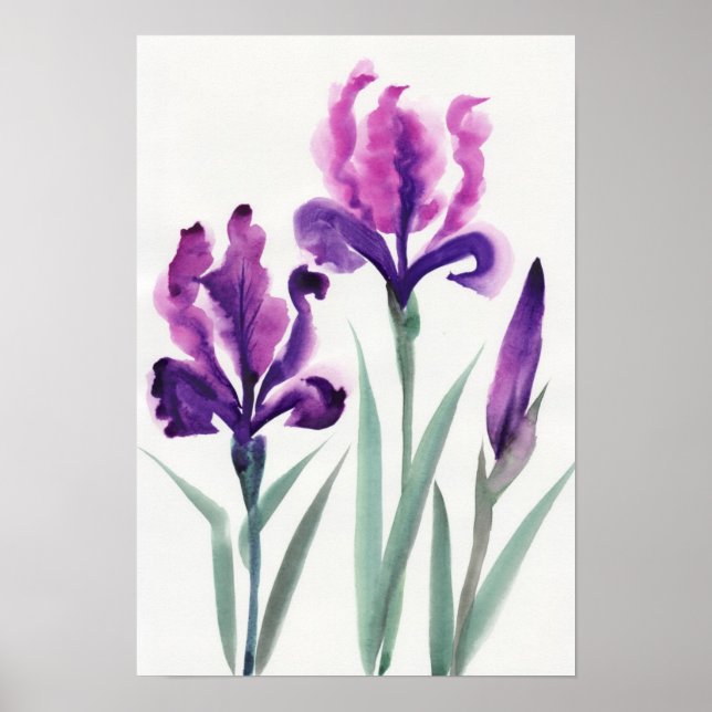 Irises Poster (Front)