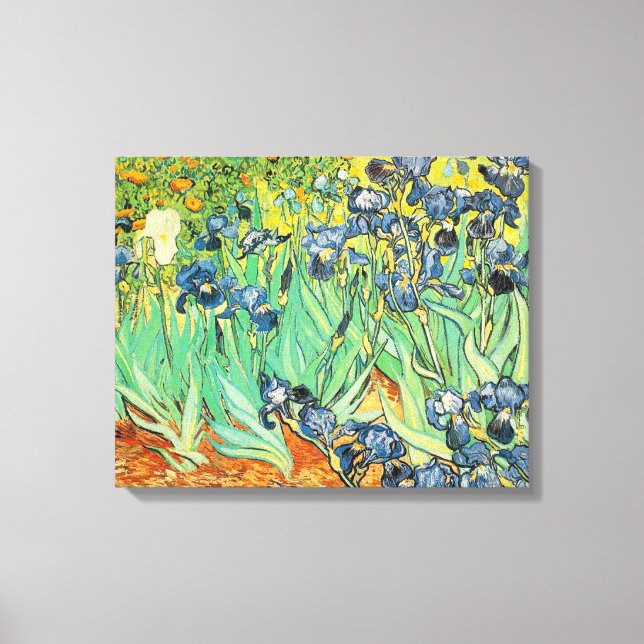 Irises - Van Gogh - c1889 Canvas Print (Front)