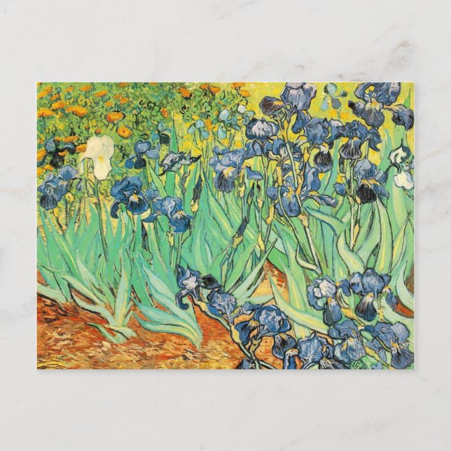 Irises - Van Gogh - c1889 Postcard (Front)