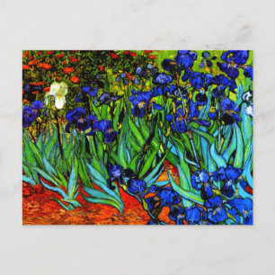 Irises, Van Gogh's famous floral painting Postcard