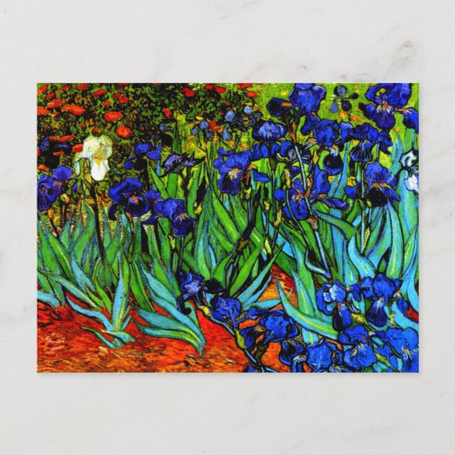 Irises, Van Gogh's famous floral painting Postcard (Front)